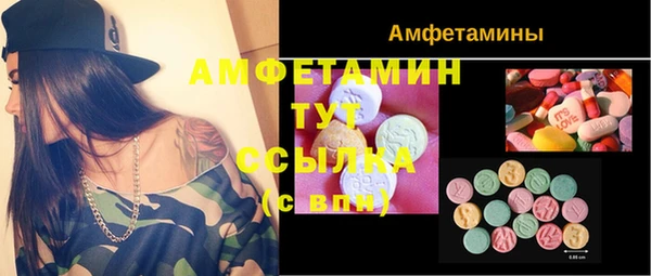 шишки Верхний Тагил