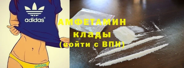 шишки Верхний Тагил