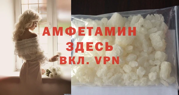 шишки Верхний Тагил