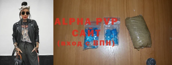 шишки Верхний Тагил