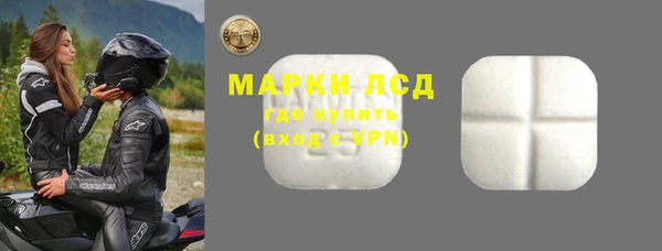 спиды Верея