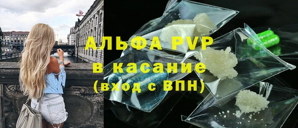 прущие грибы Волосово