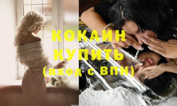 шишки Верхний Тагил