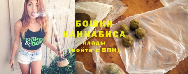 шишки Верхний Тагил