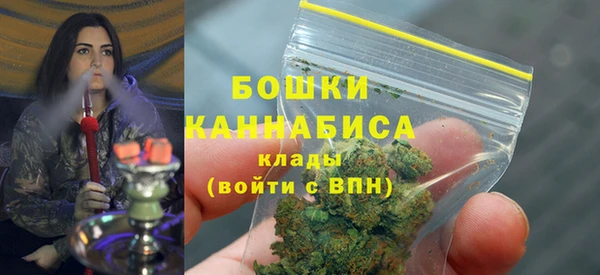 шишки Верхний Тагил
